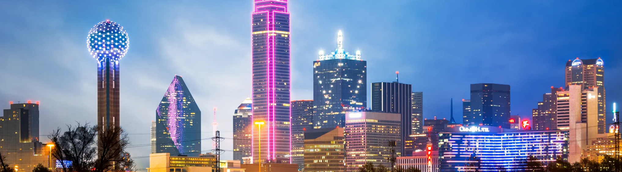 Dallas County Chapter 1